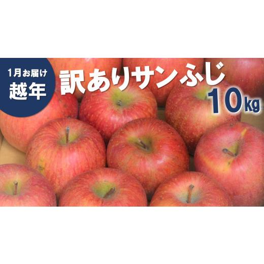 ふるさと納税 りんご 長野県 松川町 AS13 りんご サンふじ 訳あり 自家用(松川町産) 約10kg /2027年1月中旬〜2月上旬頃 配送予定 // 長野県 南信州 さん…