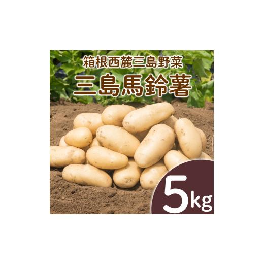 ふるさと納税 野菜類 じゃがいも 静岡県 三島市 三島馬鈴薯 約5kg JAふじ伊豆 じゃがいも 馬鈴薯 メークイン 箱根西麓三島野菜 野菜 芋 農作物 化粧箱 みしま…