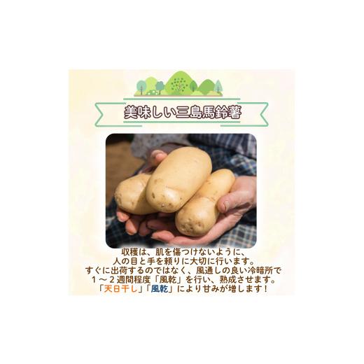 ふるさと納税 野菜類 じゃがいも 静岡県 三島市 三島馬鈴薯 約5kg JAふじ伊豆 じゃがいも 馬鈴薯 メークイン 箱根西麓三島野菜 野菜 芋 農作物 化粧箱 みしま…
