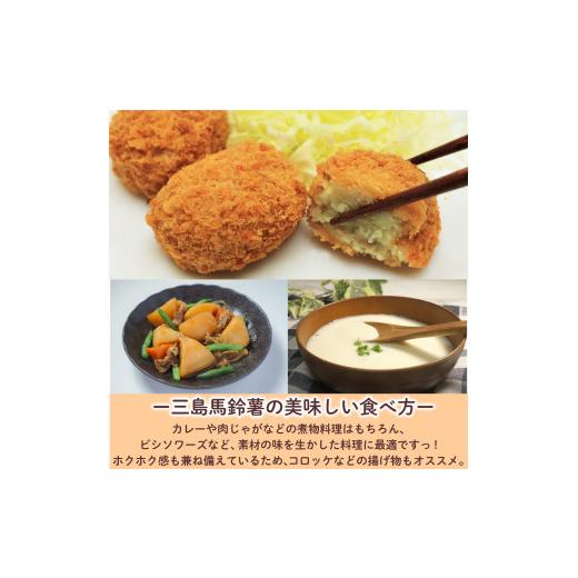 ふるさと納税 野菜類 じゃがいも 静岡県 三島市 三島馬鈴薯 約5kg JAふじ伊豆 じゃがいも 馬鈴薯 メークイン 箱根西麓三島野菜 野菜 芋 農作物 化粧箱 みしま…