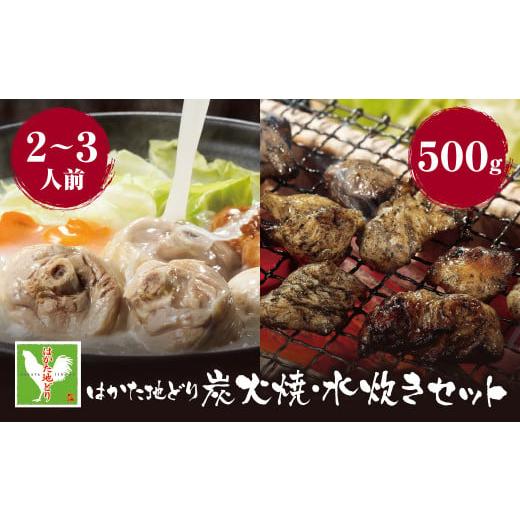 ふるさと納税 福岡県 福智町 P12-05 はかた地どり 炭火焼500g&水炊き(2〜3人前)セット