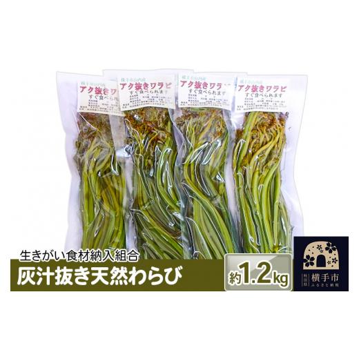 ふるさと納税 野菜類 山菜 秋田県 横手市 灰汁抜き天然わらび 約1.2kg わらび ワラビ 蕨 あく抜き 山菜