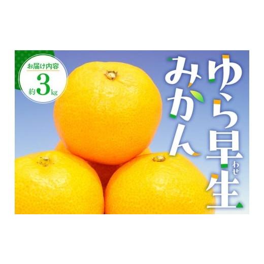 ふるさと納税 果物類 みかん 香川県 高松市 ゆら 早生 みかん 約3kg 2026-9月下旬〜2026-11月上旬配送 |  | 01
