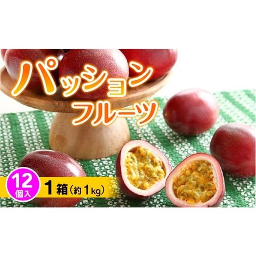 ふるさと納税 鹿児島県 喜界町 『先行受付』2024年6月ごろ発送 パッションフルーツ 12個入り×1箱(約1kg)