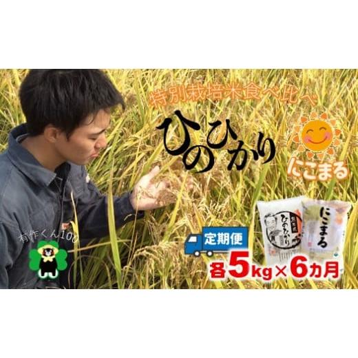 ふるさと納税 熊本県 玉名市 「ひのひかり」「にこまる」食べ比べセット(各5kg×6ヶ月定期)