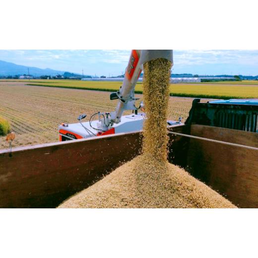 公式専門店 ふるさと納税 熊本県 玉名市 特別栽培米 「無洗米にこまる」5kg 熊本玉名産