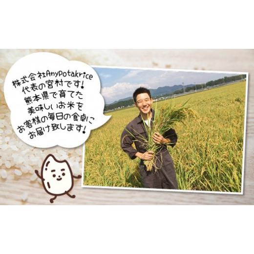 公式専門店 ふるさと納税 熊本県 玉名市 特別栽培米 「無洗米にこまる」5kg 熊本玉名産