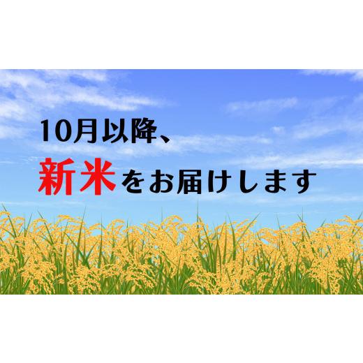 公式専門店 ふるさと納税 熊本県 玉名市 特別栽培米 「無洗米にこまる」5kg 熊本玉名産