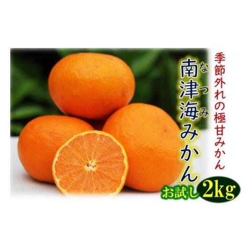 ふるさと納税 みかん・柑橘類 大分県 国東市 貴重な極甘みかん「南津海(なつみ)」約2kg_1507R