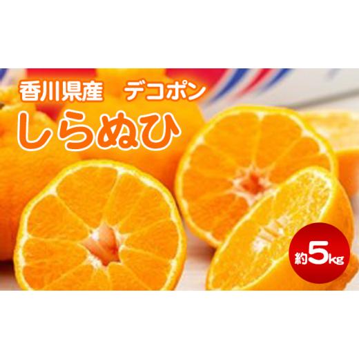ふるさと納税 みかん・柑橘類 デコポン 香川県 東かがわ市   しらぬひ 約5kg デコポン 果物類 みかん 柑橘類 フルーツ