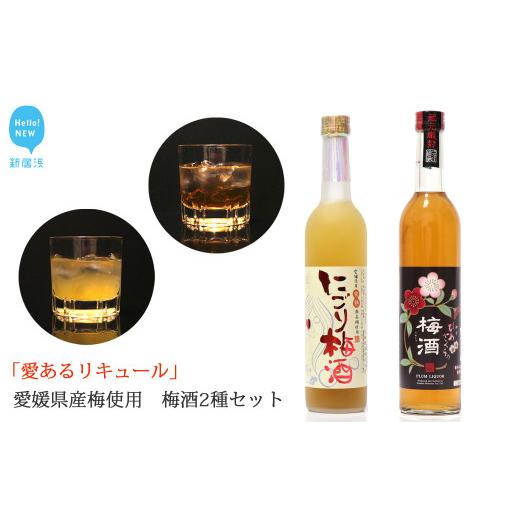 ふるさと納税 お酒 洋酒 愛媛県 新居浜市 「愛あるリキュール」梅酒500ml×2種セット ひめさくらの梅酒・にごり梅酒 愛媛県産梅使用 愛媛 近藤酒造 ギフト・プ…