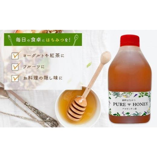 ふるさと納税 加工品等 はちみつ 福岡県 八女市 かの蜂 ピュアハニー AR4kg（AR2kg×2） たっぷり使えるコクのある 純粋蜂蜜 保存食 防災グッズの画像