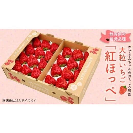 ふるさと納税 いちご 静岡県 掛川市 紅ほっぺ 大粒 約500g×2パック 1711396