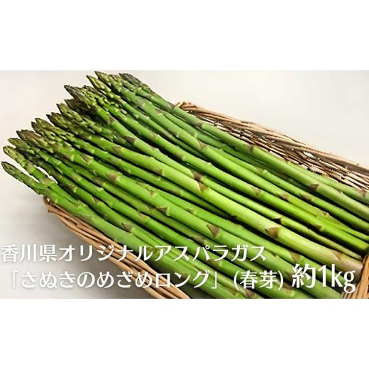 ふるさと納税 野菜類 アスパラガス 香川県 観音寺市 香川県オリジナルアスパラガス「さぬきのめざめロング」(春芽)約1kg
