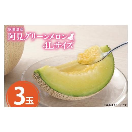 ふるさと納税 メロン メロン青肉 茨城県 阿見町 茨城県産阿見グリーンメロン5kg(3玉) 秀品4L 先行予約 JA水郷つくば フルーツ 果物 くだもの 甘い おいしい メ…
