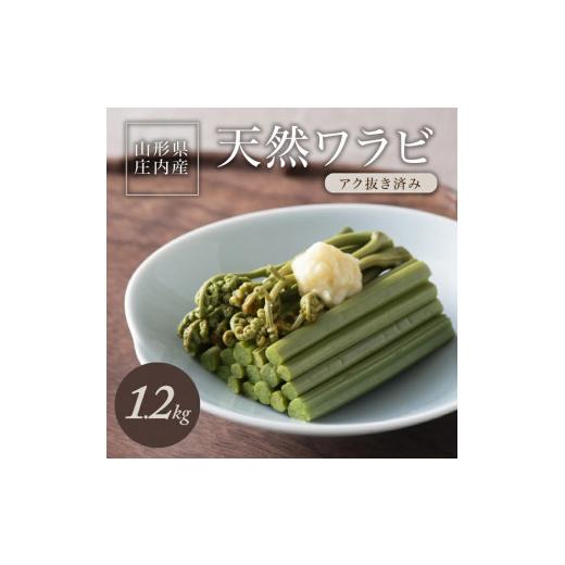 ふるさと納税 野菜類 山菜 山形県 酒田市 庄内産 天然わらび (アク抜き済み) 約1.2kg(200g×6束) SA2891の画像