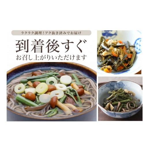 ふるさと納税 野菜類 山菜 山形県 酒田市 庄内産 天然わらび (アク抜き済み) 約1.2kg(200g×6束) SA2891の画像