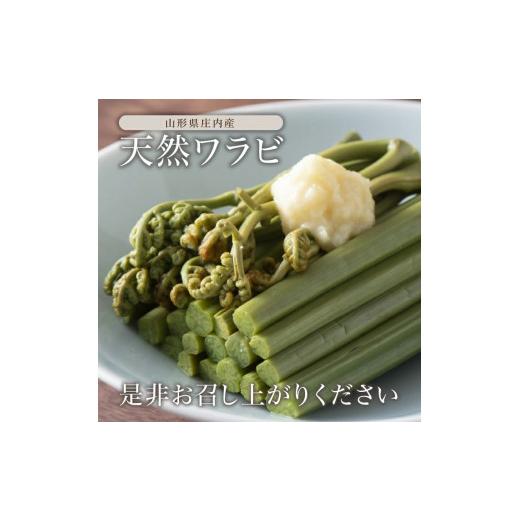 ふるさと納税 野菜類 山菜 山形県 酒田市 庄内産 天然わらび (アク抜き済み) 約1.2kg(200g×6束) SA2891の画像