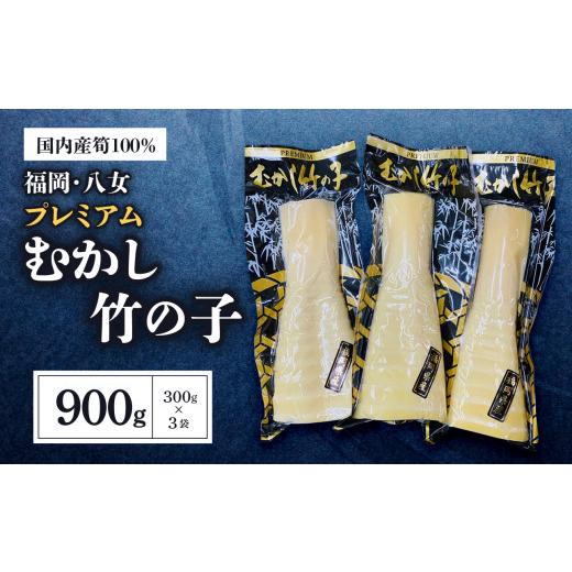 ふるさと納税 野菜類 福岡県 八女市 プレミアムむかし竹の子 300g×3袋セット| 出荷時期 2026年5月以降