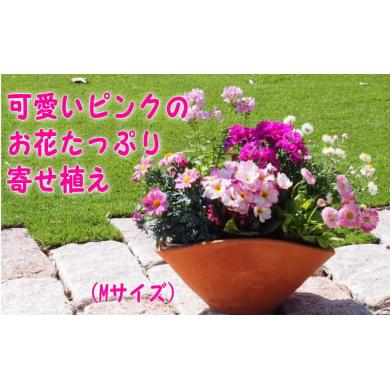 ふるさと納税 福岡県 朝倉市 可愛いピンクのお花たっぷりの寄せ植え(舟形Mサイズ)1個