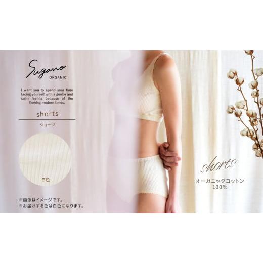ふるさと納税 服 女 奈良県 御杖村 F02wM オーガニック 100% SuganoORGANIC ショーツ 白: M 綿 USAオーガニックコットン 100% | オーガニック コットン 下着…