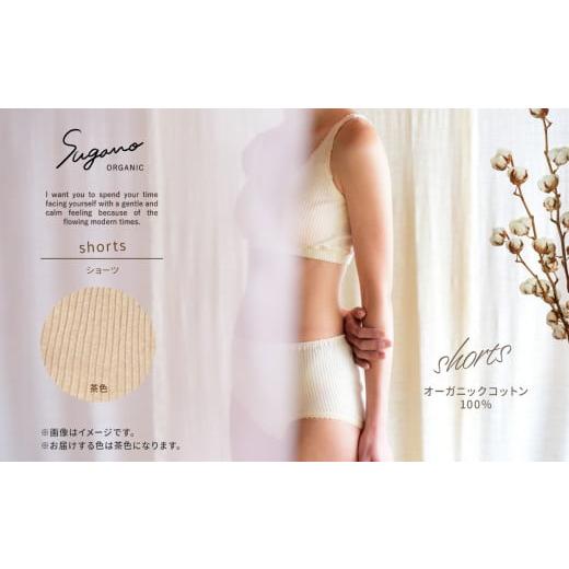 ふるさと納税 服 女 奈良県 御杖村 F02bS オーガニック 100% SuganoORGANIC ショーツ 茶 : S 綿 USAオーガニックコットン 100% | S M L オーガニック コット…