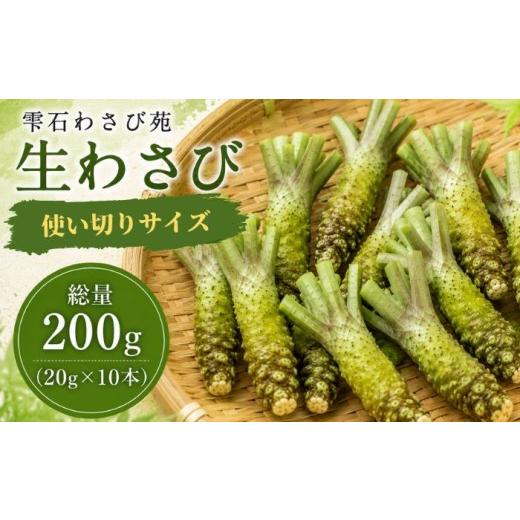 ふるさと納税 野菜類 薬味 岩手県 雫石町 栽培期間中 農薬 化学肥料 不使用 国産 わさび 使い切り 約 20g 10本 総量 200g 雫石わさび苑 野菜 やさい 香味野菜 …