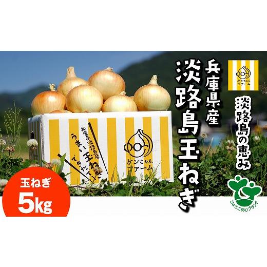 ふるさと納税 野菜類 玉ねぎ 兵庫県 南あわじ市 ＼うまい玉ねぎできたでー／ 特別栽培玉ねぎ5kg 〜ひょうご安心ブランド認証取得〜  配送7月〜翌年1月の画像