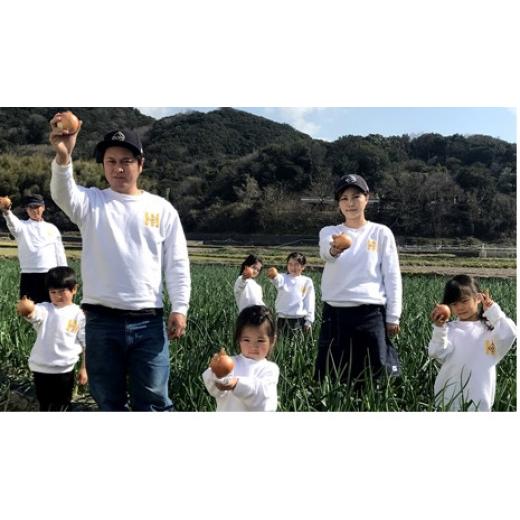 ふるさと納税 野菜類 玉ねぎ 兵庫県 南あわじ市 ＼うまい玉ねぎできたでー／ 特別栽培玉ねぎ5kg 〜ひょうご安心ブランド認証取得〜  配送7月〜翌年1月の画像