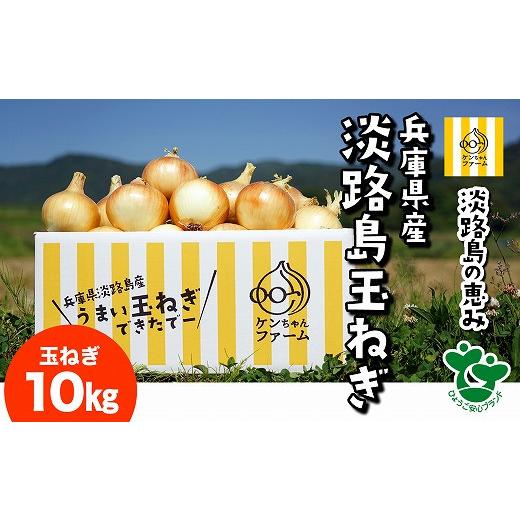 ふるさと納税 野菜類 玉ねぎ 兵庫県 南あわじ市 ＼うまい玉ねぎできたでー／特別栽培玉ねぎ10kg 〜ひょうご安心ブランド認証取得〜  配送７月〜翌年１月の画像