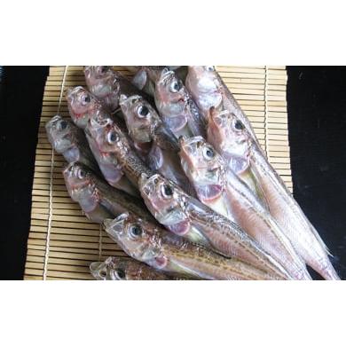 ふるさと納税 干物 京都府 宮津市 ハタハタ(中) 干物 一夜干し 450g ×2箱  