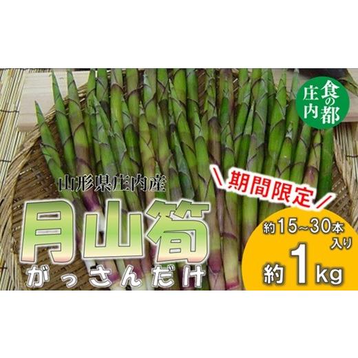 ふるさと納税 野菜類 山菜 山形県 三川町 食の都庄内 庄内産 月山筍1kg  期間限定 5月上旬〜5月下旬発送予定の画像