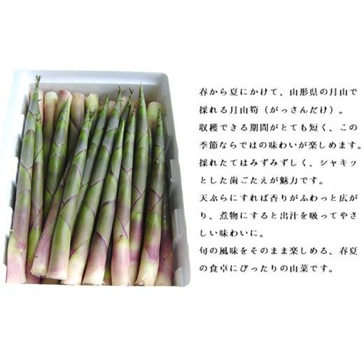 ふるさと納税 野菜類 山菜 山形県 三川町 食の都庄内 庄内産 月山筍1kg  期間限定 5月上旬〜5月下旬発送予定の画像