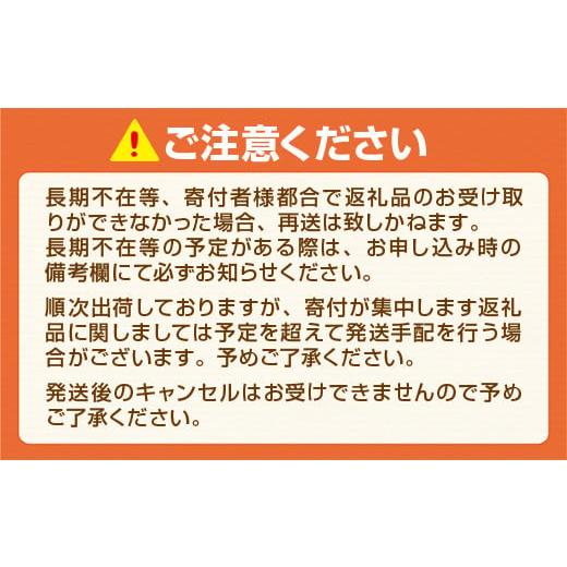 ふるさと納税 福岡県 篠栗町 CZ002 福岡の八女茶　玉露ボトル缶(290ml)×24缶｜furusatochoice｜04