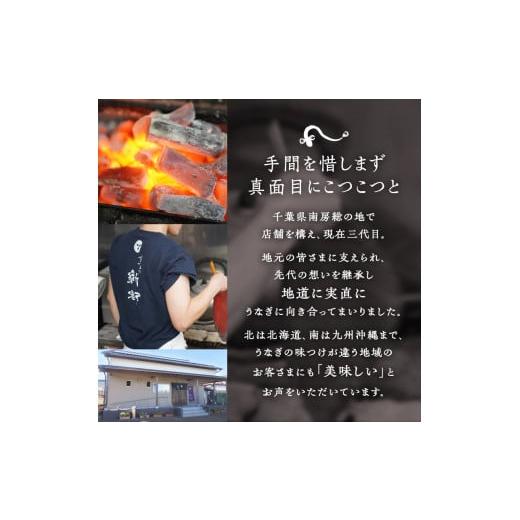 ふるさと納税 お食事券 千葉県 南房総市 「新都セット 並」 お食事券 2名様分 mi0035-0023の画像