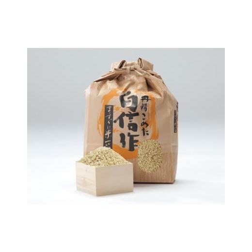 ふるさと納税 玄米 山形県 天童市 08-05-029 つや姫玄米10kg