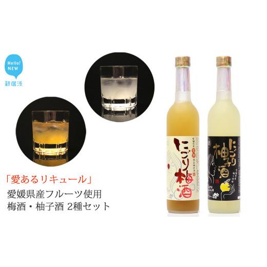 ふるさと納税 お酒 洋酒 愛媛県 新居浜市 「愛あるリキュール」500ml×2種セット にごり梅酒・にごり柚子酒 愛媛県産フルーツ使用 愛媛 近藤酒造 ギフト・プレ…