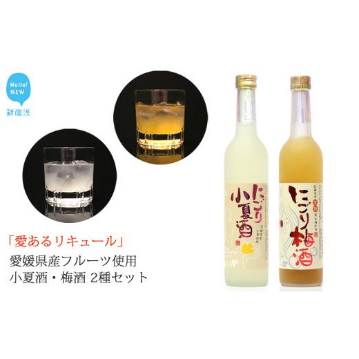 ふるさと納税 お酒 洋酒 愛媛県 新居浜市 「愛あるリキュール」500ml×2種セット にごり梅酒・にごり小夏酒 愛媛県産フルーツ使用 愛媛 近藤酒造 ギフト・プレ…