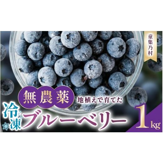 ふるさと納税 果物類 三重県 熊野市 無農薬 童集乃村 ブルーベリー 冷凍 1kg 2026年8月上旬頃から9月下旬頃に順次発送いたします。 フルーツ 果物 くだもの ス…