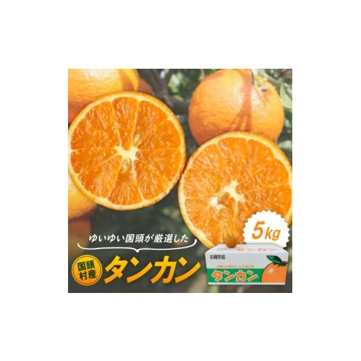 ふるさと納税 みかん・柑橘類 沖縄県 国頭村 2027年1月から順次発送 国頭村産 タンカン 5kg やんばるの人気柑橘 濃厚な甘みとコク 1651876