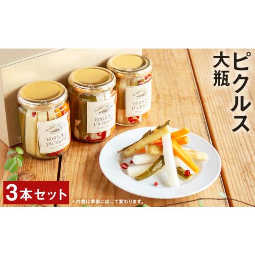 ふるさと納税 缶詰・瓶詰 野菜類 熊本県 菊池市 ピクルス 大瓶 3本 セット 野菜 瓶詰め メロンドーム [30日以内に出荷予定(土日祝除く)]