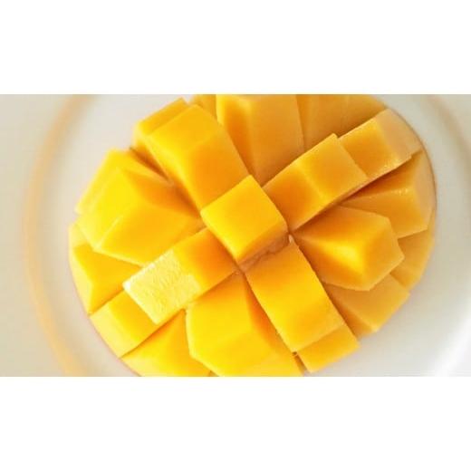 ふるさと納税 自治体にお任せ 宮崎県 西都市 西都産完熟マンゴー Ｌサイズ×3個 鉢植栽培 宮崎県西都産 サムライファーム 1.5-233 宮崎マンゴー 果物 フルーツ… |  | 02