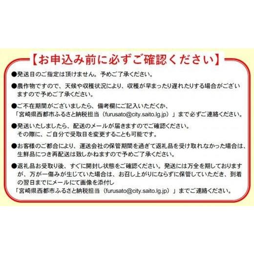 ふるさと納税 自治体にお任せ 宮崎県 西都市 西都産完熟マンゴー Ｌサイズ×3個 鉢植栽培 宮崎県西都産 サムライファーム 1.5-233 宮崎マンゴー 果物 フルーツ… |  | 04