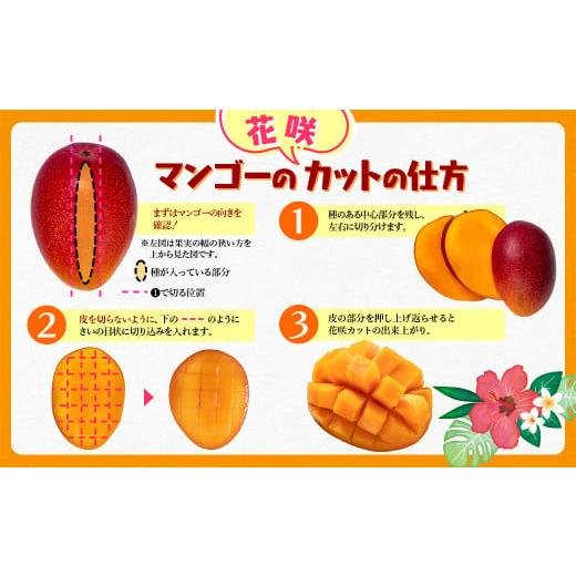 ふるさと納税 自治体にお任せ 宮崎県 西都市 西都産完熟マンゴー Ｌサイズ×3個 鉢植栽培 宮崎県西都産 サムライファーム 1.5-233 宮崎マンゴー 果物 フルーツ… |  | 07