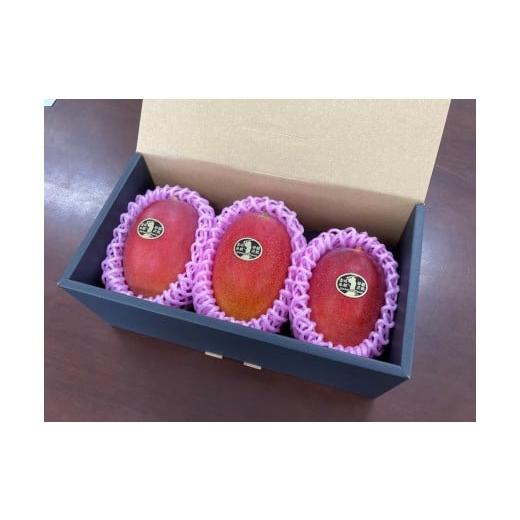 ふるさと納税 自治体にお任せ 宮崎県 西都市 西都産完熟マンゴー Ｌサイズ×3個 鉢植栽培 宮崎県西都産 サムライファーム 1.5-233 宮崎マンゴー 果物 フルーツ… |  | 08