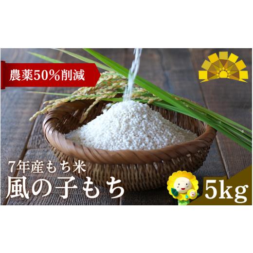 ふるさと納税 米・パン もち米 北海道 北竜町 令和7年産もち米 風の子 もち 5kg 北海道北竜町産 /もち米 sun408-mochi-5-R7