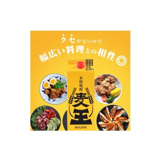 ふるさと納税 焼酎 麦 鹿児島県 曽於市 鹿児島本格麦焼酎 麦王パック 