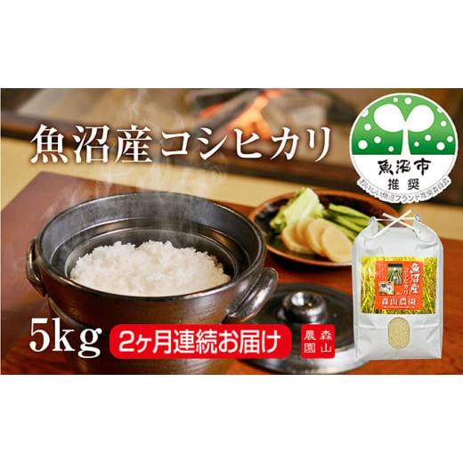 ふるさと納税 米 コシヒカリ 新潟県 魚沼市   森山農園魚沼産コシヒカリ5kg 2ヶ月連続お届け お米