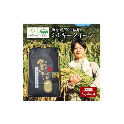 ふるさと納税 新潟県 魚沼市 魚沼産特別栽培ミルキークイーン 5kg袋 5ヶ月連続お届け