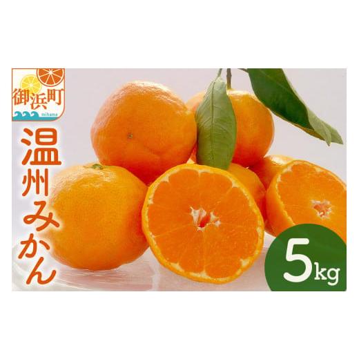 ふるさと納税 果物類 みかん 三重県 御浜町 北東農園の温州みかん5キロ 数量限定 期間限定 果物 フルーツ みかん 温州みかん 5kg 三重県 御浜町